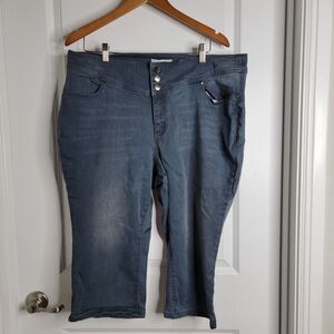 Lane Bryant Jeans Womens sz 20 Blue Gray High Rise Jegging Crop Denim Distressed